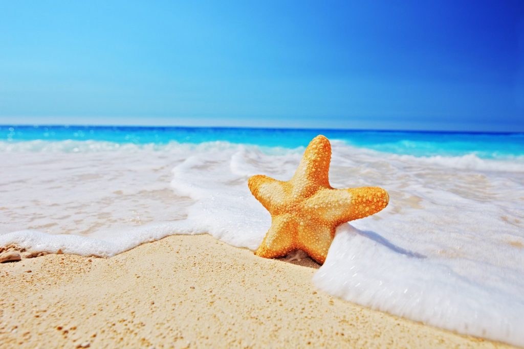 shutterstock 122663569 e1627069066302 مؤسسه آموزش عالی خراسان